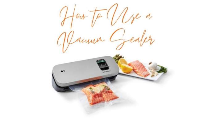 What are the Different Types of Food Vacuum Sealer