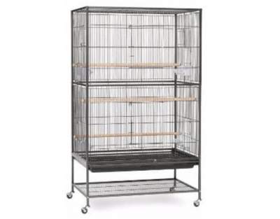 Prevue Hendryx Pet Products Wrought Iron Flight Cage review: