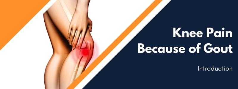 Knee Pain Because of Gout 