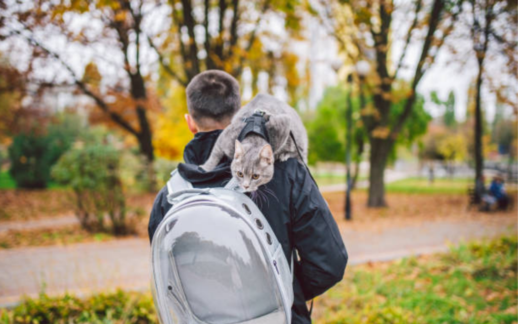 A man with his cat and backpack passing through the garden - Best Clear Backpacks
